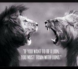 Lion of Judah MM
Motorcycle-Ministry